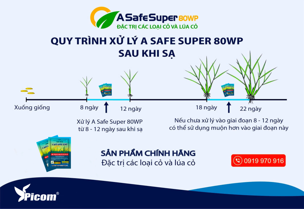 Quy trình A Safe Super 80WP