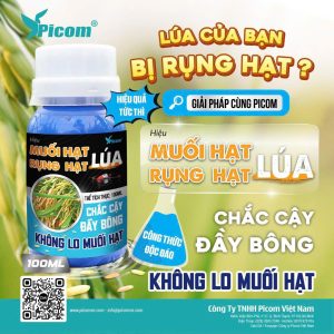 Phân bón hữu cơ Enva06 - Organic Hiệu MUỐI HẠT- RỤNG HẠT LÚA