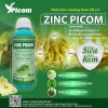 Phân bón vi lượng Enva Zn 2.5 ZINC PICOM