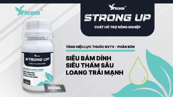 STRONG UP