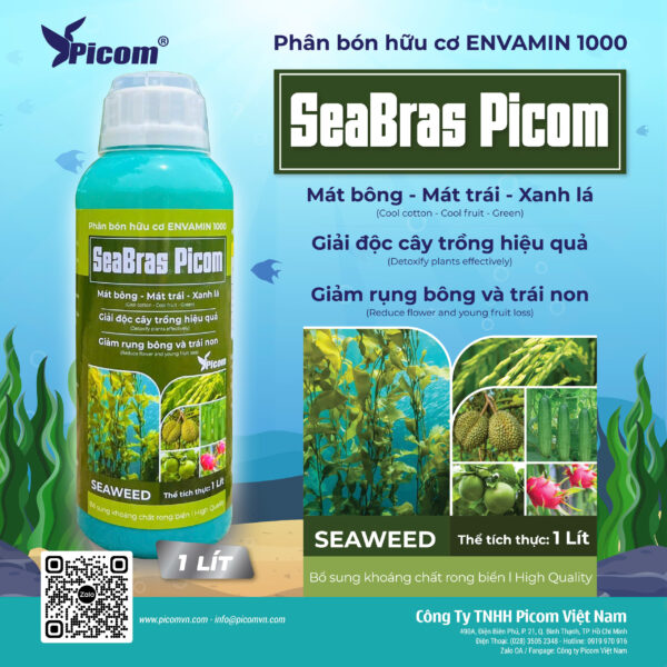 SeaBras Picom