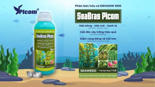SeaBras Picom