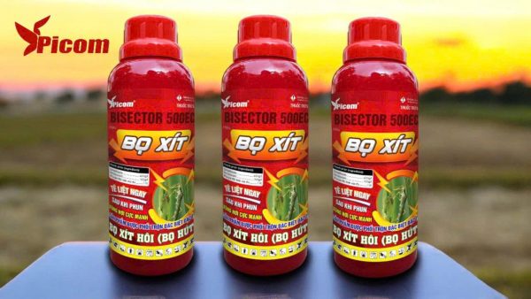 THUỐC TRỪ SÂU BỌ XÍT (BISECTOR 500EC) HẠ GỤC CHÍCH HÚT CẤP TỐC