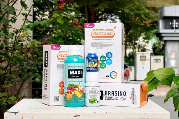 Combo “Xanh Thần Tốc+ Chống Vàng Cam” Cho Mọi Mùa Vụ – MAXI+, BRASINO, KEMA A+