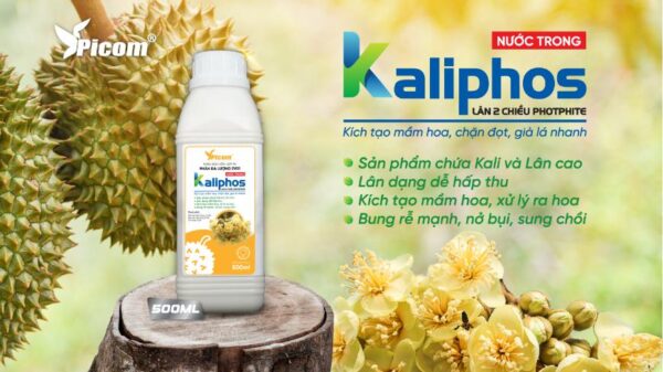 Kaliphos – Giải pháp bền rễ, đẹp hoa, bội thu mùa vụ!
