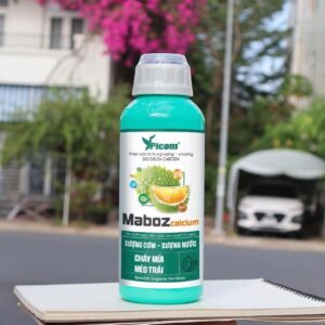 MABOZ CALCIUM