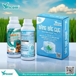 BỘ ĐÔI BĂNG BẮC CỰC